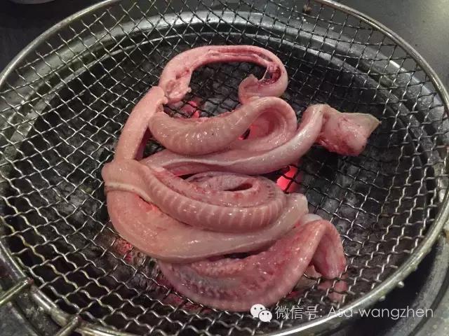 小早游韩国|美好的时光总是那么短暂~