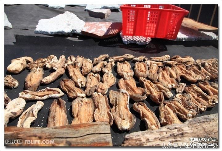 中国地图西沙群岛的位置图片,中国西沙群岛全景