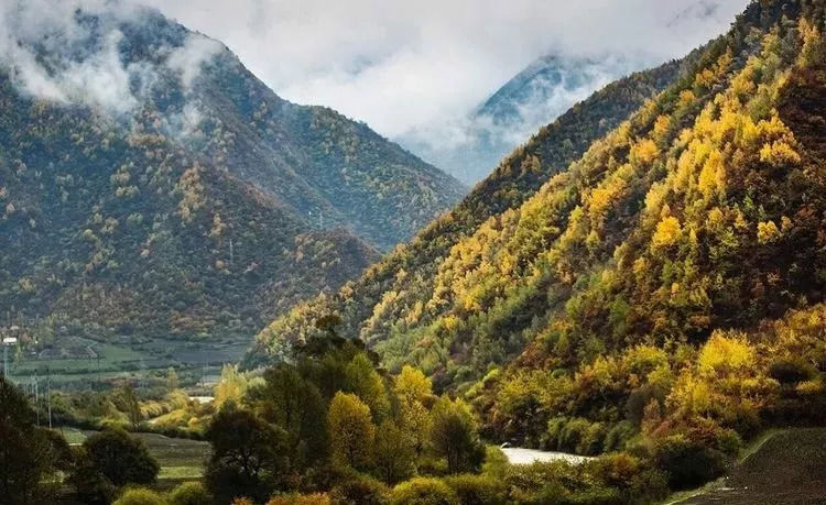 秋天甘南旅游攻略,看甘南草原风光
