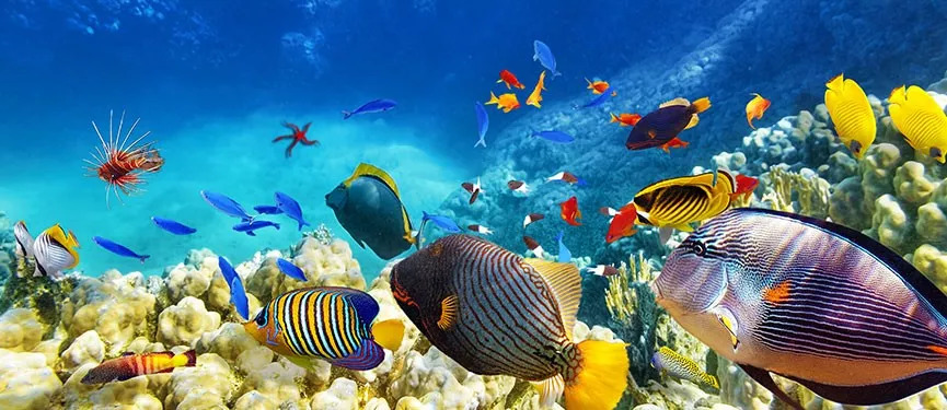 地球上最美的12个地方,公认地球最美的地方是哪里