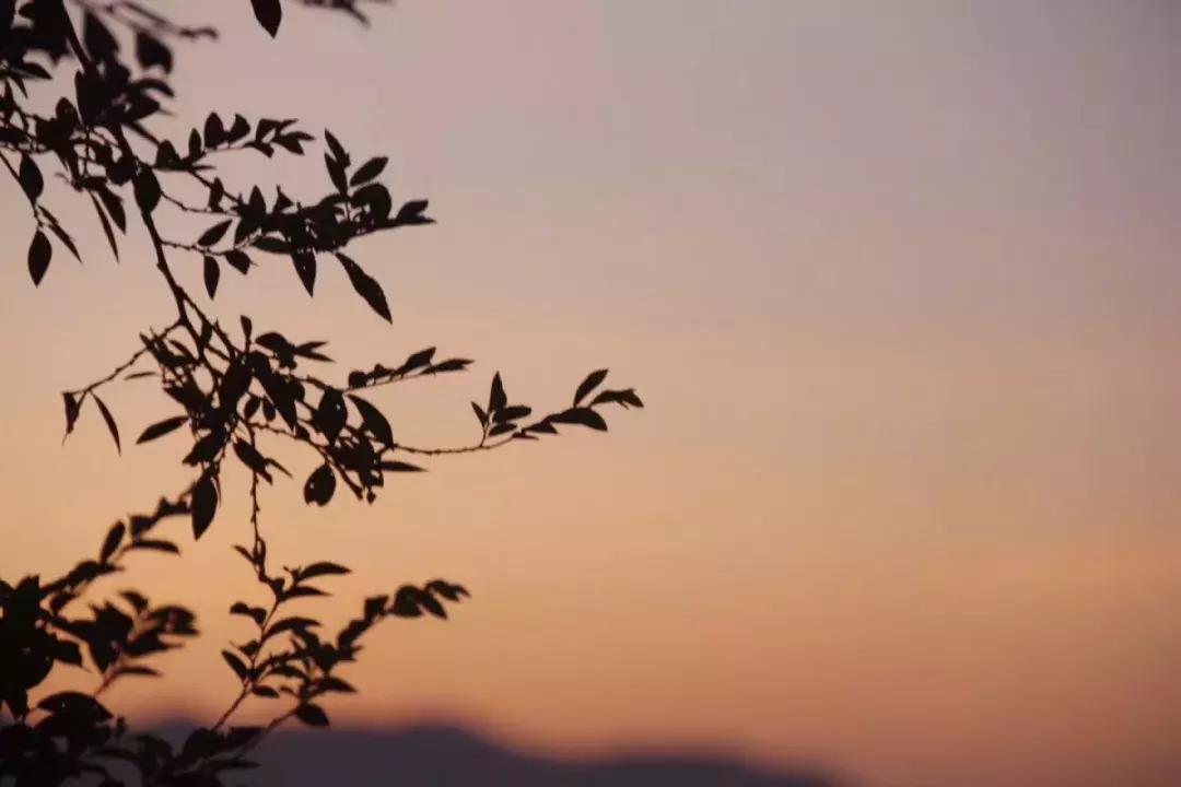 我是广东人但我不会讲粤语完整版,我是广州人但我不会说广州话