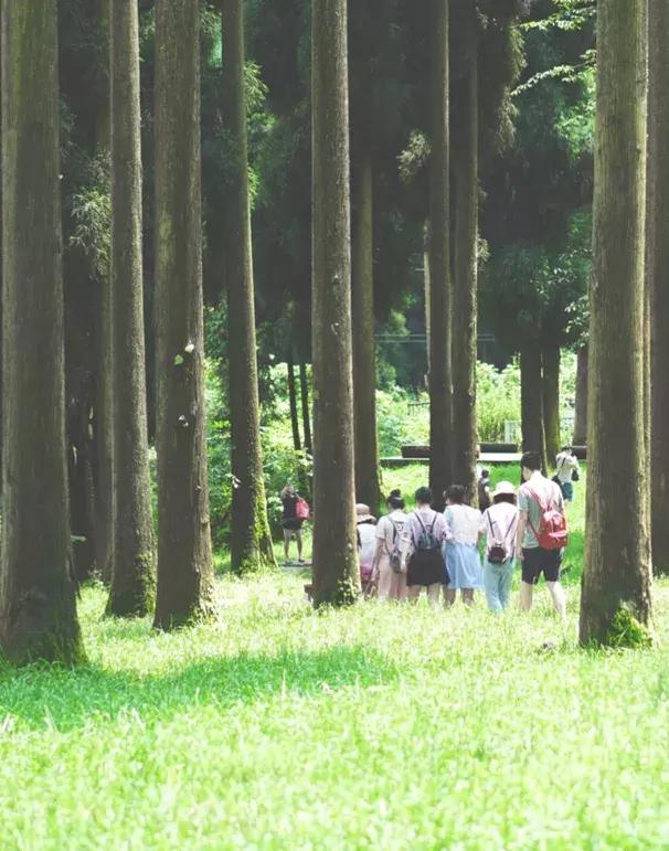 四川被忽略的景点,成都邛崃藏在深山中的世外桃源