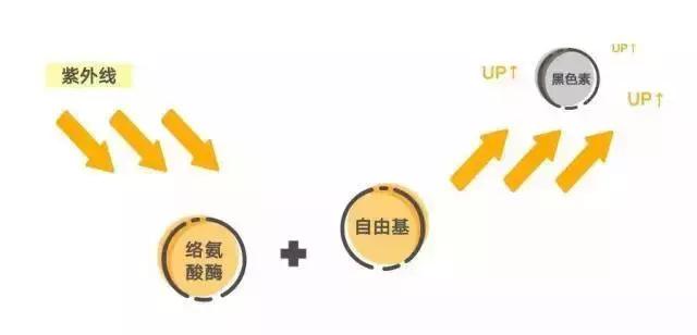 夏天晒黑冬天就白回来了怎么回事,原本皮肤很白晒黑了可以变回来吗