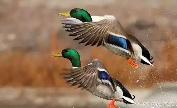 今天9月12日，千年一遇的双福日，双倍祝福送给朋友们愿你幸福久久