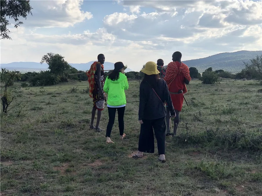 肯尼亚│我没有错过非洲，错过动物大迁徙