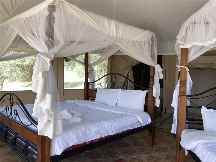 肯尼亚│我没有错过非洲，错过动物大迁徙