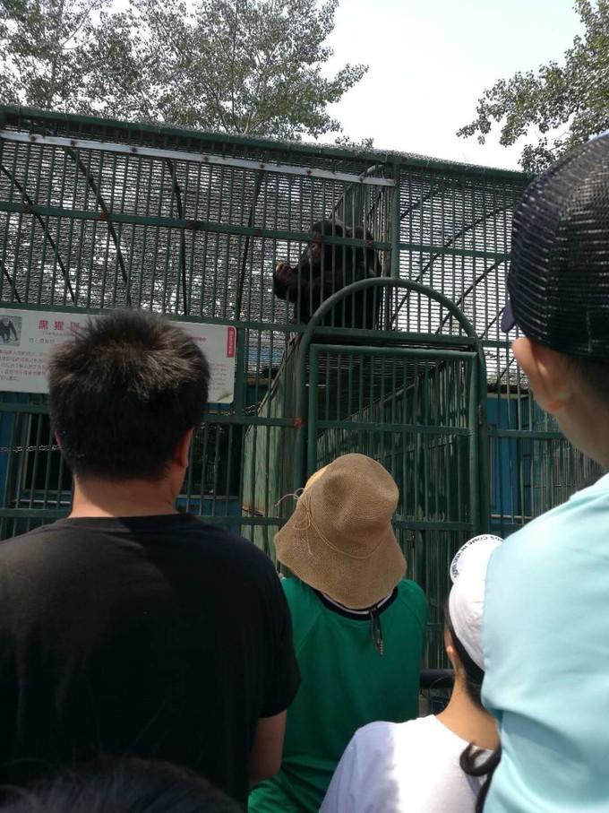 寻秦记旅游,寻秦记自驾旅游