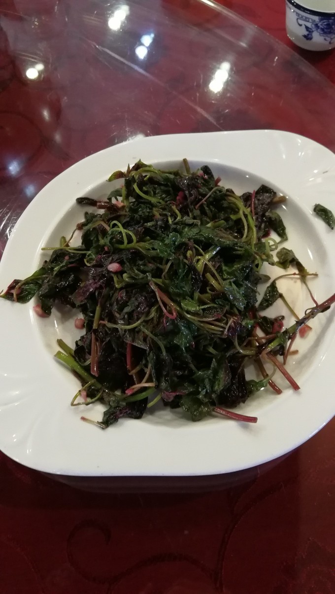 寻秦记旅游,寻秦记自驾旅游