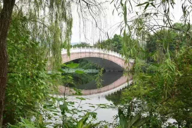 致拼搏奋斗路上莘莘学子,致莘莘学子的图片