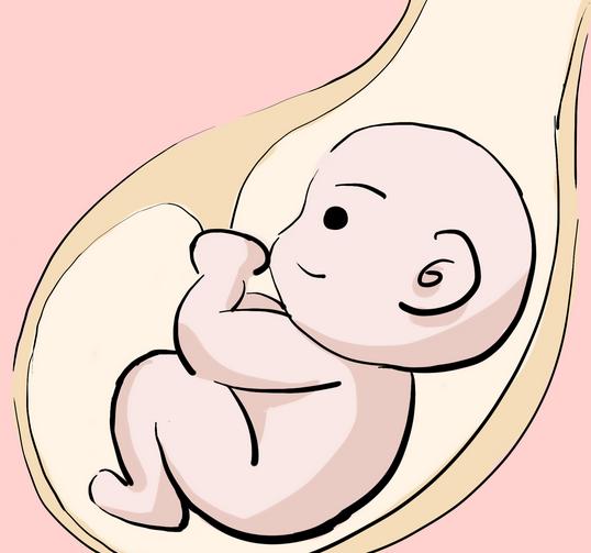 一次就中的易孕体质有哪些特征,有的人为什么易孕体质