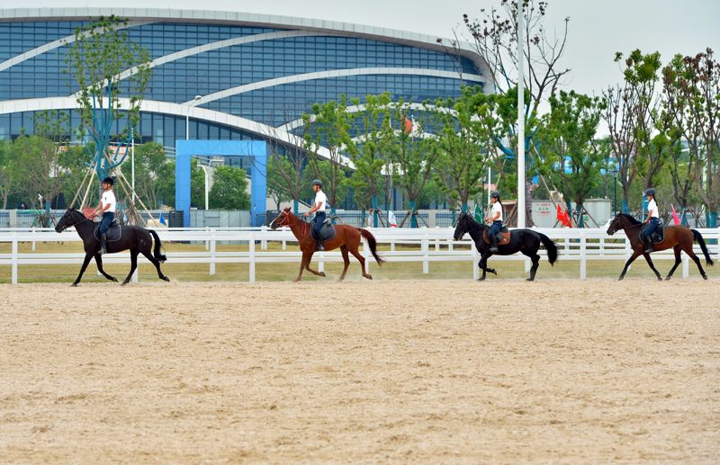 武汉商学院军运会游泳馆,武汉商学院体育馆