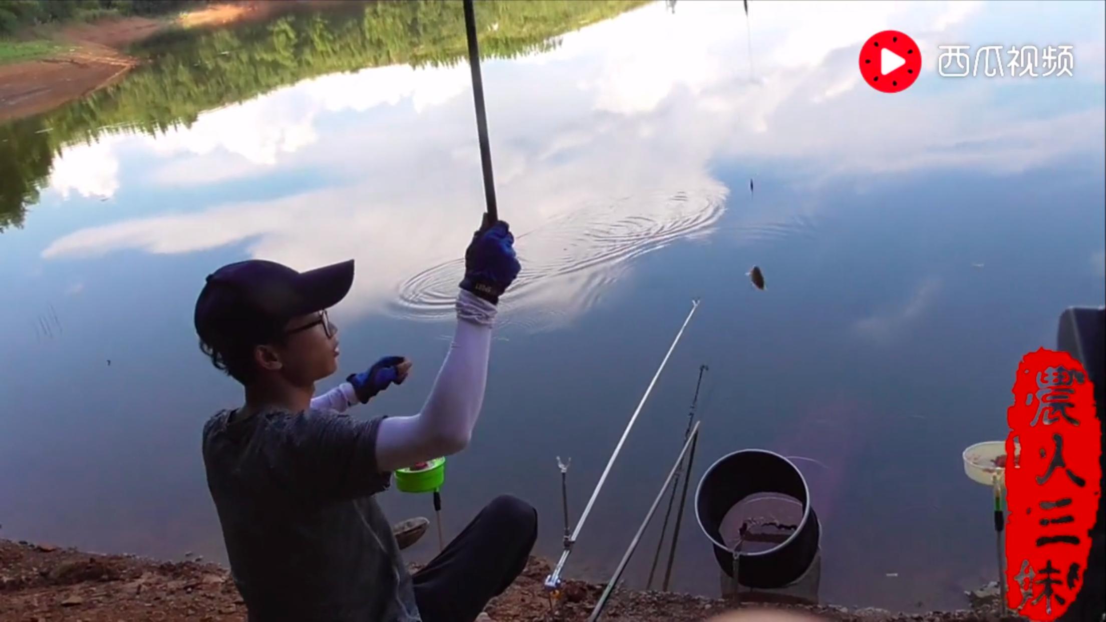 生活视频创作者,生活领域视频创作者收入