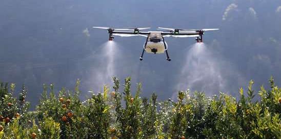 果树植保解决方案有哪些,果树植保国家权威