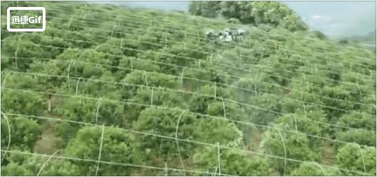 果树植保解决方案有哪些,果树植保国家权威