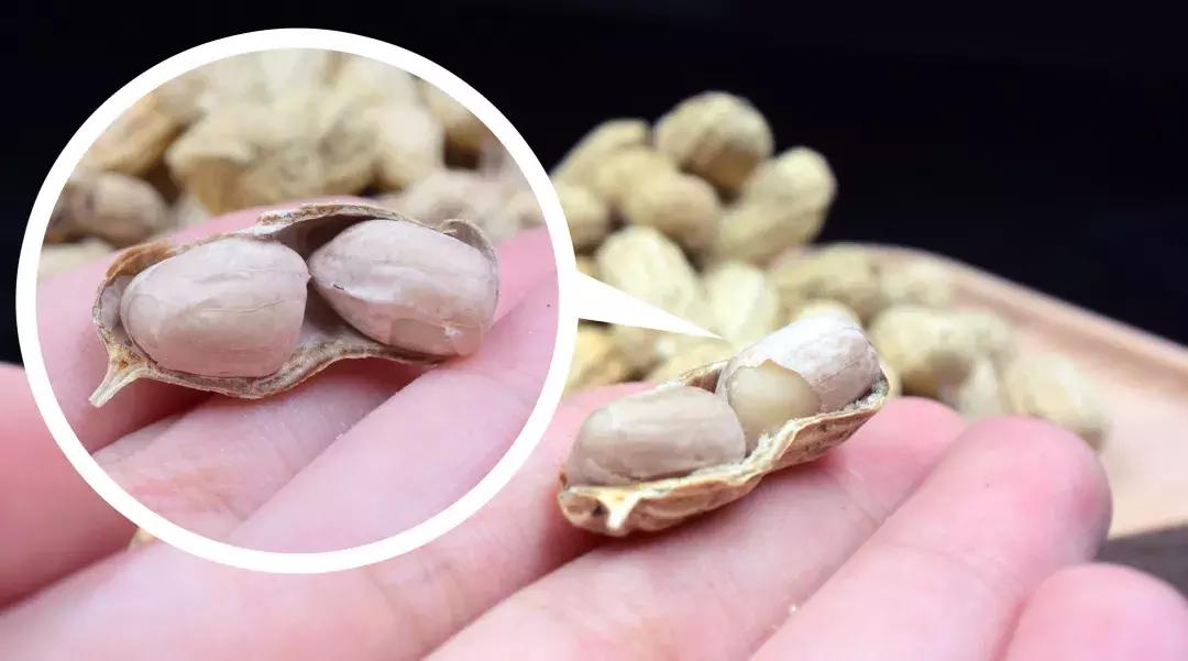 广东童年记忆小零食,广东人童年回忆的糖