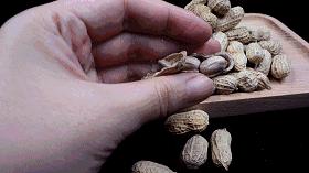 童年零食大测评糖里有歌,童年回忆的小零食大测评