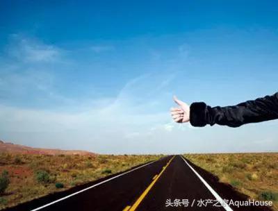 今日水产市场价格一览表,水产市场每日最新报价直播