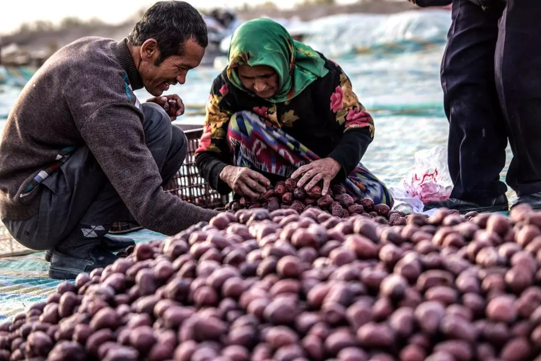 *疆新**人文地理丨*疆新**瓜果亚克西