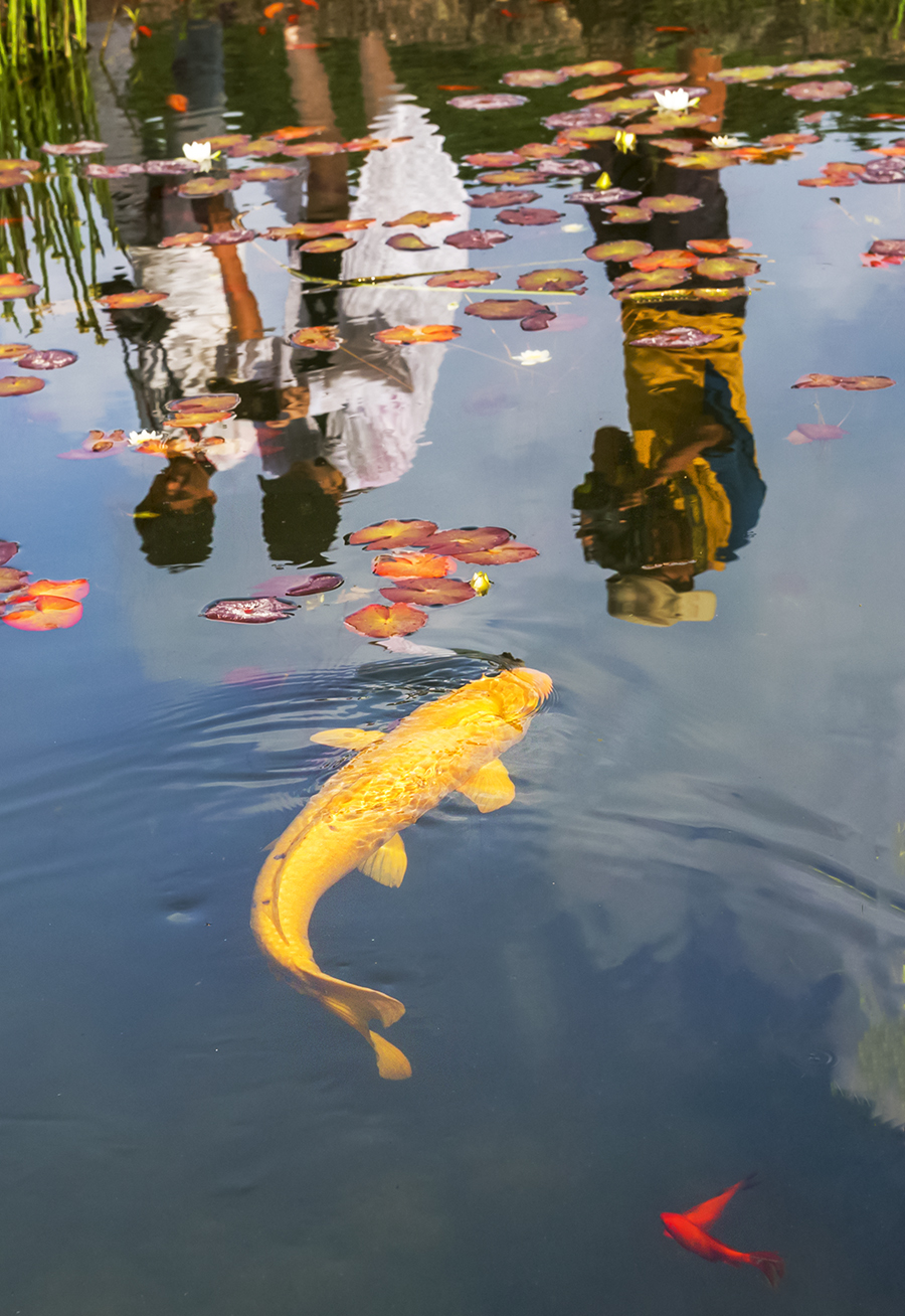 太有趣，一座山竟像一头卯足劲的牛