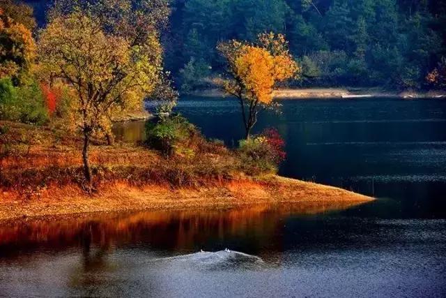 国内最美的十大海滨城市,国内最撩人的20个金秋童话