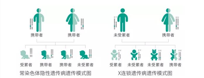 通过基因检测避免新生儿缺陷,缺陷基因筛查