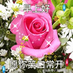 朋友愿你天天开心吉祥如意,朋友祝你年年十八你怎么回