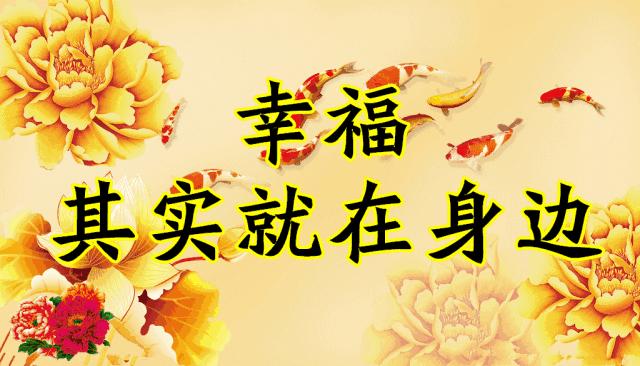 会动的图片一览表,会动的图片完整版