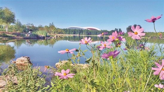 打造文明城市靓丽新名片,关注文明包头