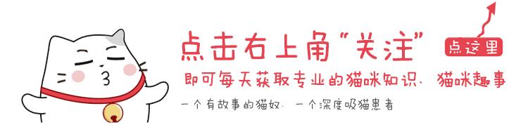 什么叫做棉签大法,棉签大法是什么样的