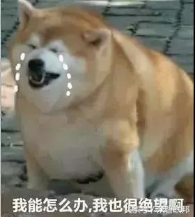 再见代购再见微商,微商代购需要交税么