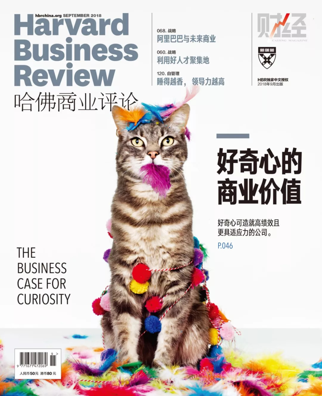 好奇心害死猫下一句怎么回,好奇心害死猫怎么高情商回复