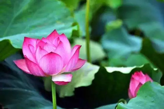 来木渎古镇感受乾隆,木渎古镇曾经的辉煌