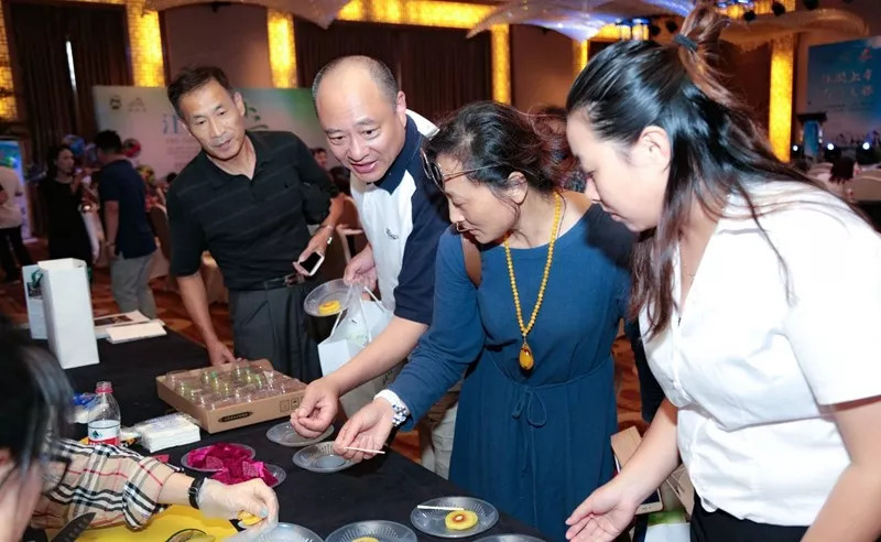 亮点｜上海至上虞“千人游”首发团启动