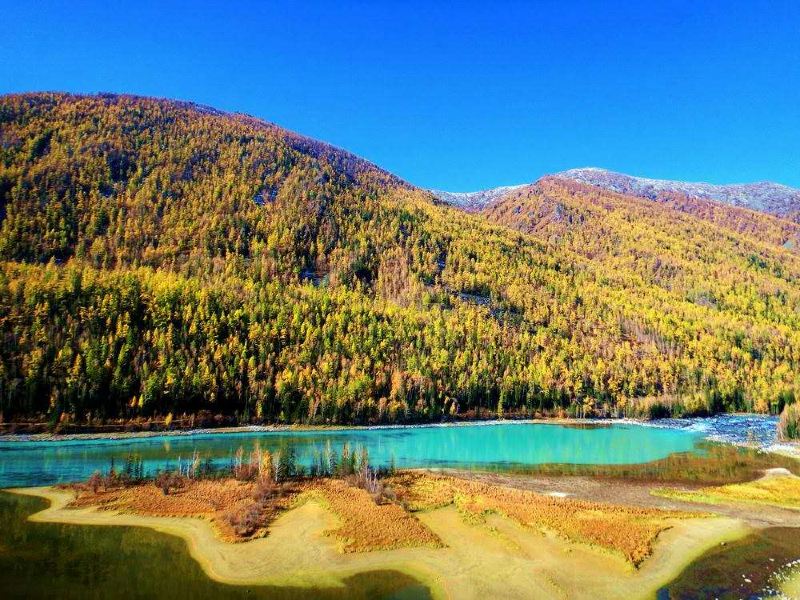 北疆环线10日游最新,北疆环线10日游旅游团