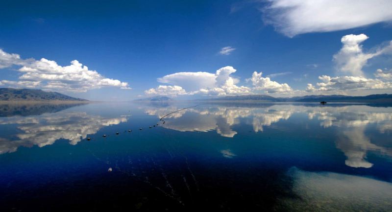 北疆环线10日游最新,北疆环线10日游旅游团