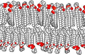 机洗*裤内**容易得暗病？这个锅我们袜子不背！