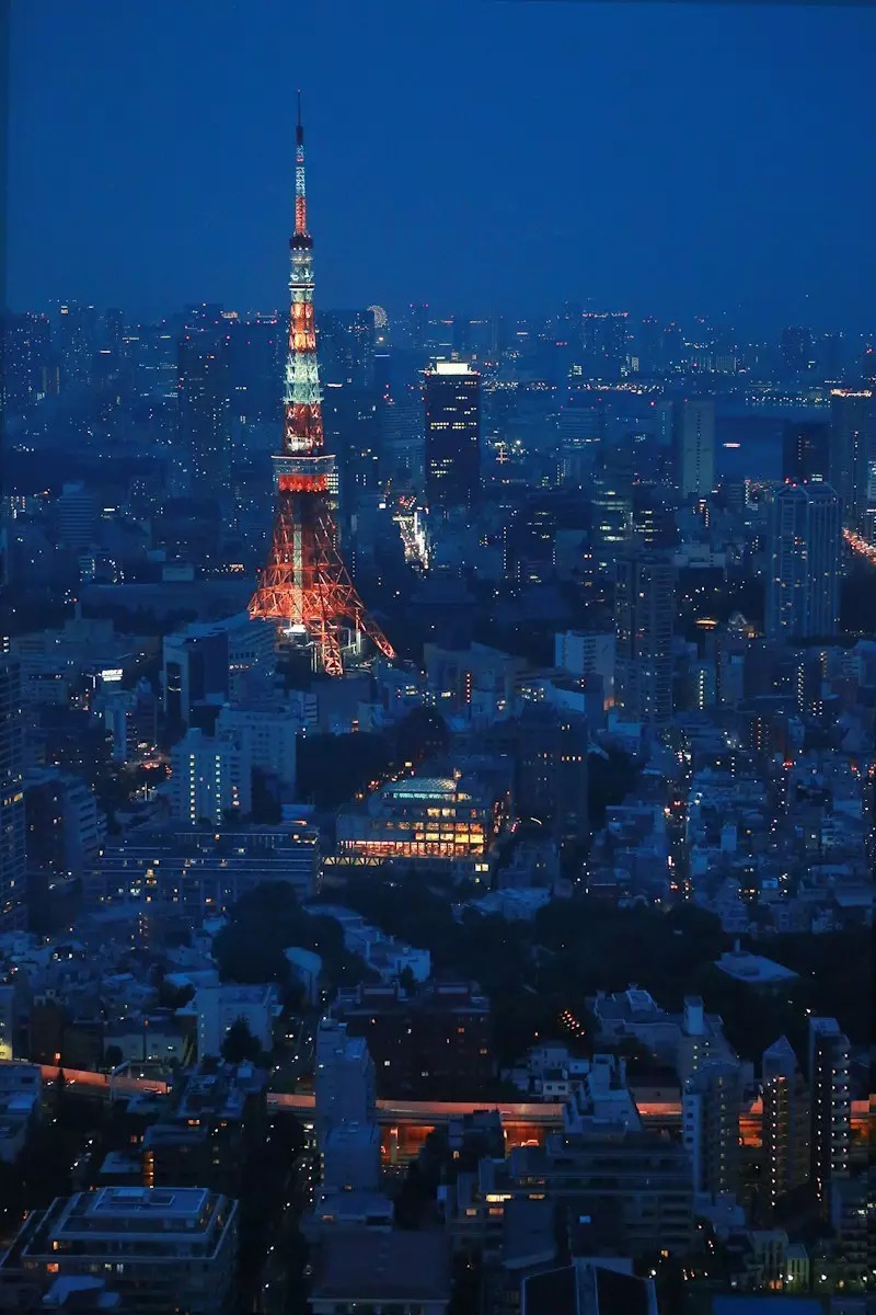 生活在别处~高冷文青携呆萌侄子游日本（攻略篇）