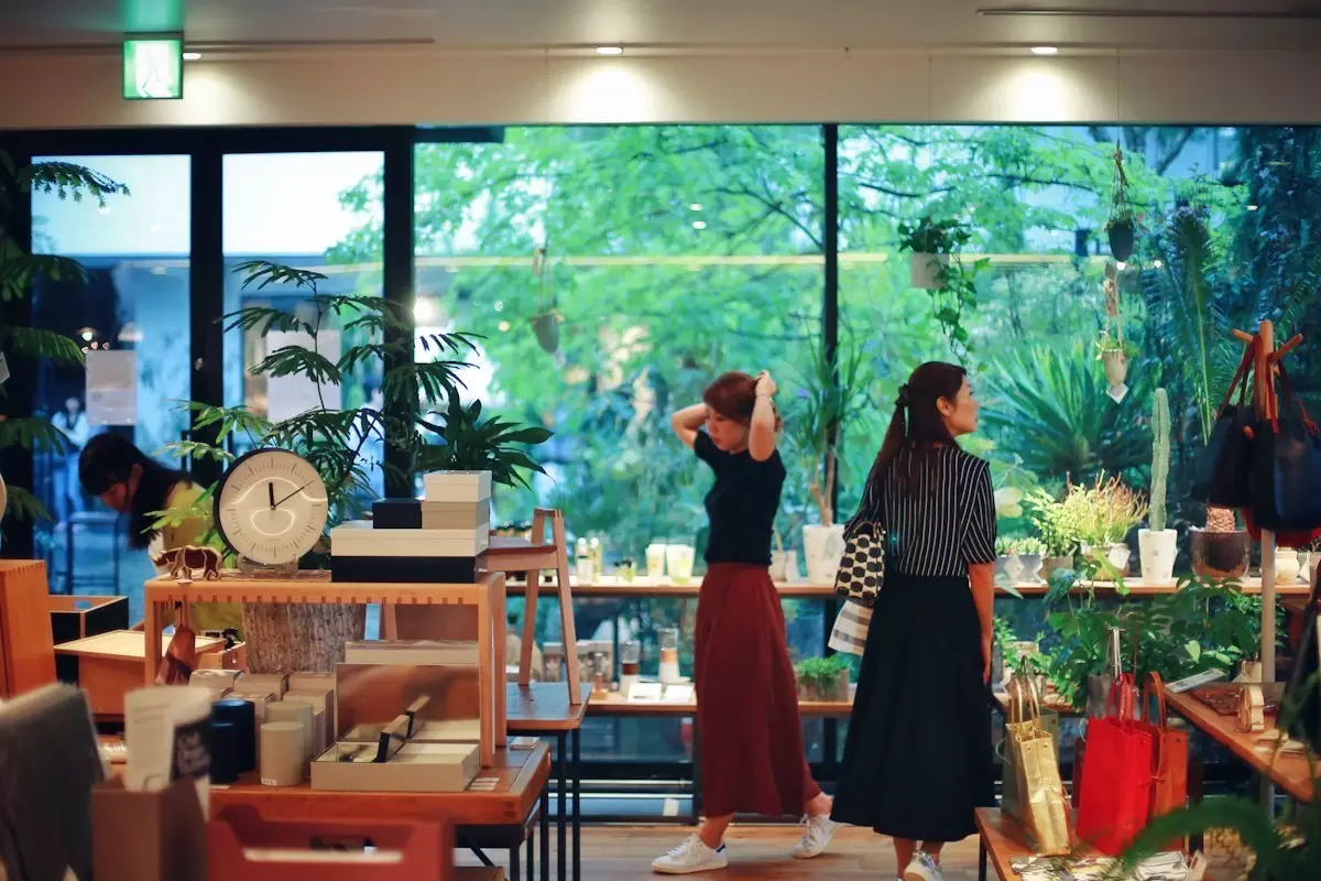 日本东京京都游记,生活在别处苏晴小说