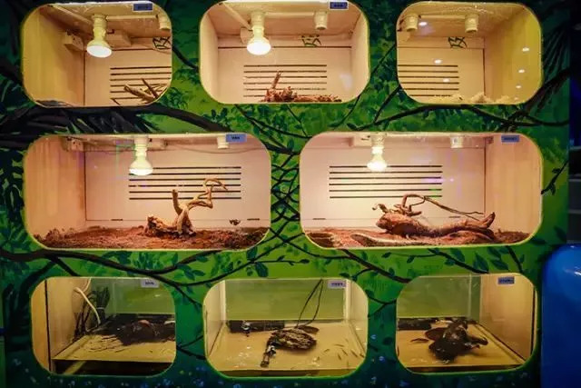 「有约」开学啦！但是在这里孩子们还可以接着“玩”！