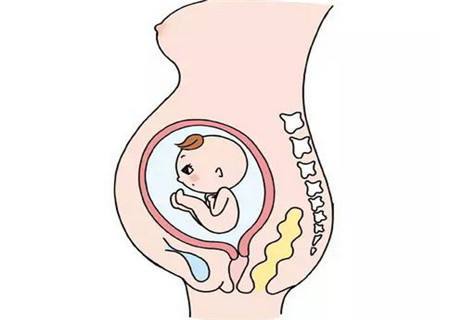 经产妇臀位顺产胎儿有什么风险,胎儿臀位什么睡姿能纠正臀位