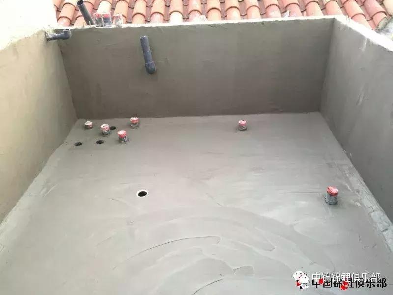 楼顶鱼池有哪些,屋顶鱼池的建造方法