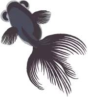 中华经典唐诗三百首视频,古诗是我们中国最灿烂的明珠