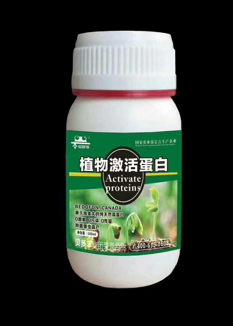 草莓怎么防止冻死,草莓冬天怎么防止冻伤