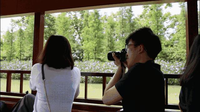 麻涌全域旅游发展,麻涌乡村旅游