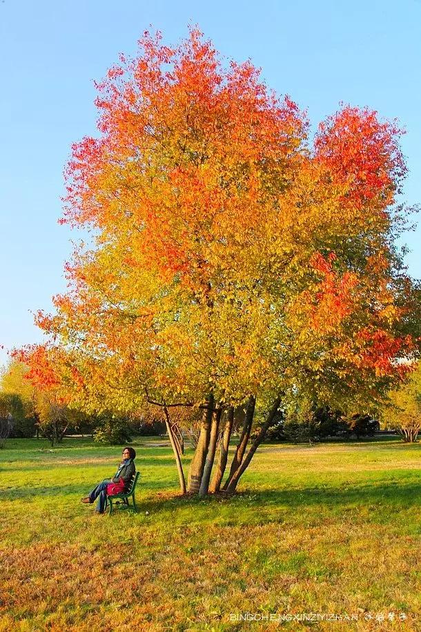 国庆伏尔加庄园,哈尔滨伏尔加庄园三日游
