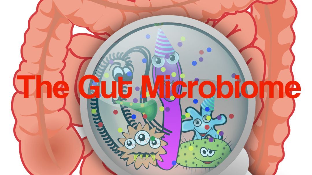 辽宁cba网曝兴奋剂,cbc骗局揭秘