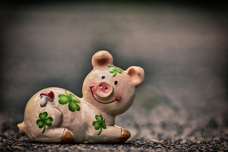 工作中遇到猪队友怎么办,工作遇到猪队友好烦