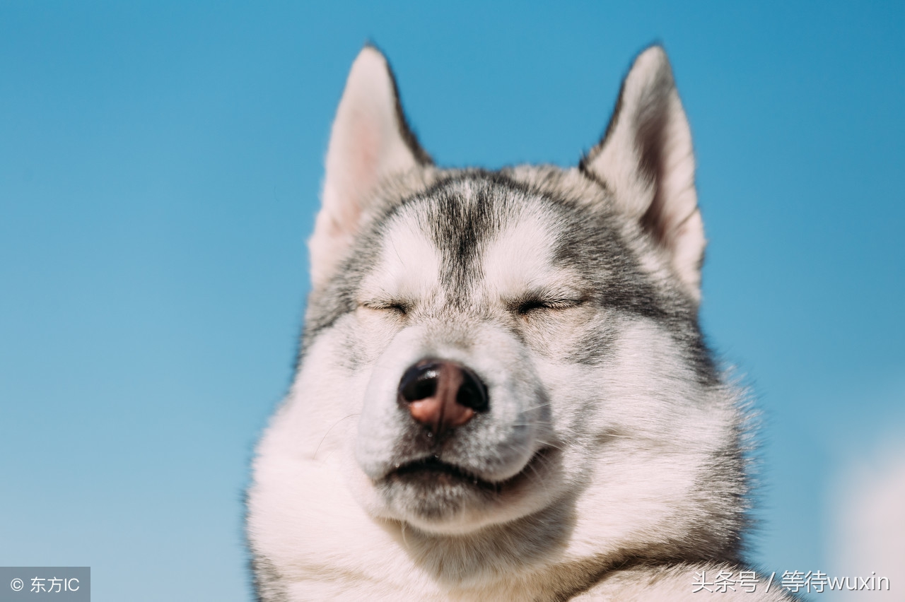 知道o型腿的这些秘密,o型腿矫正手术过程