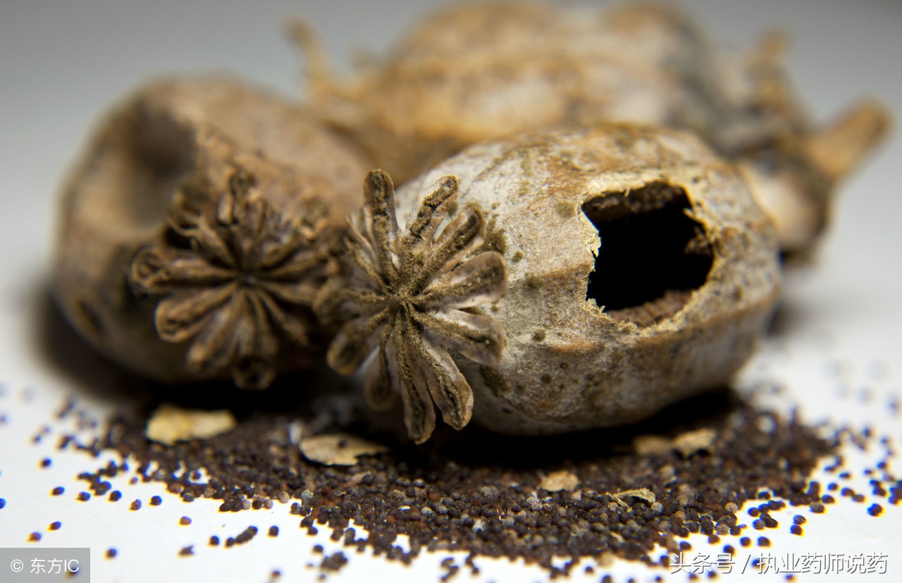 十种治咳嗽的中成药,咳嗽的五大常用药