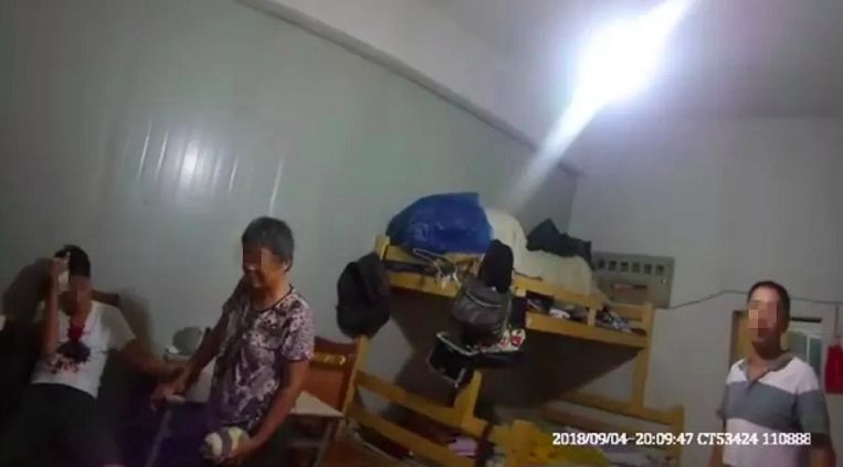 车撞一只鸡怎么处理赔偿,开车撞鸡赔200元